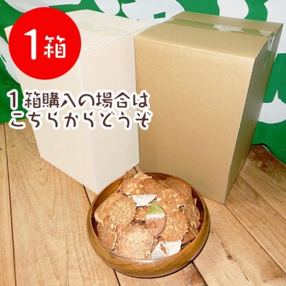 八百津煎餅お徳！割れせん詰め合わせセット（一斗缶サイズ段ボール）1箱【予約受付中】