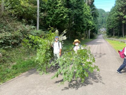 クロモジ葉×煎茶　ブレンド茶　5g - 画像 (2)