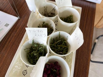 特上煎茶 リーフ - 画像 (4)