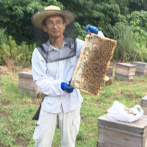 永田養蜂