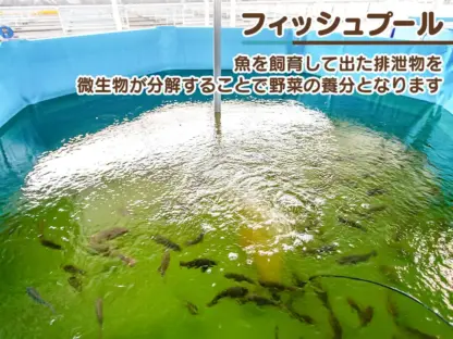 魚の育み　バジル - 画像 (4)
