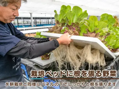 魚の育み　バジル - 画像 (6)