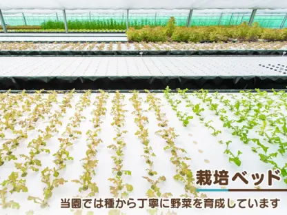 魚の育み　バジル - 画像 (8)