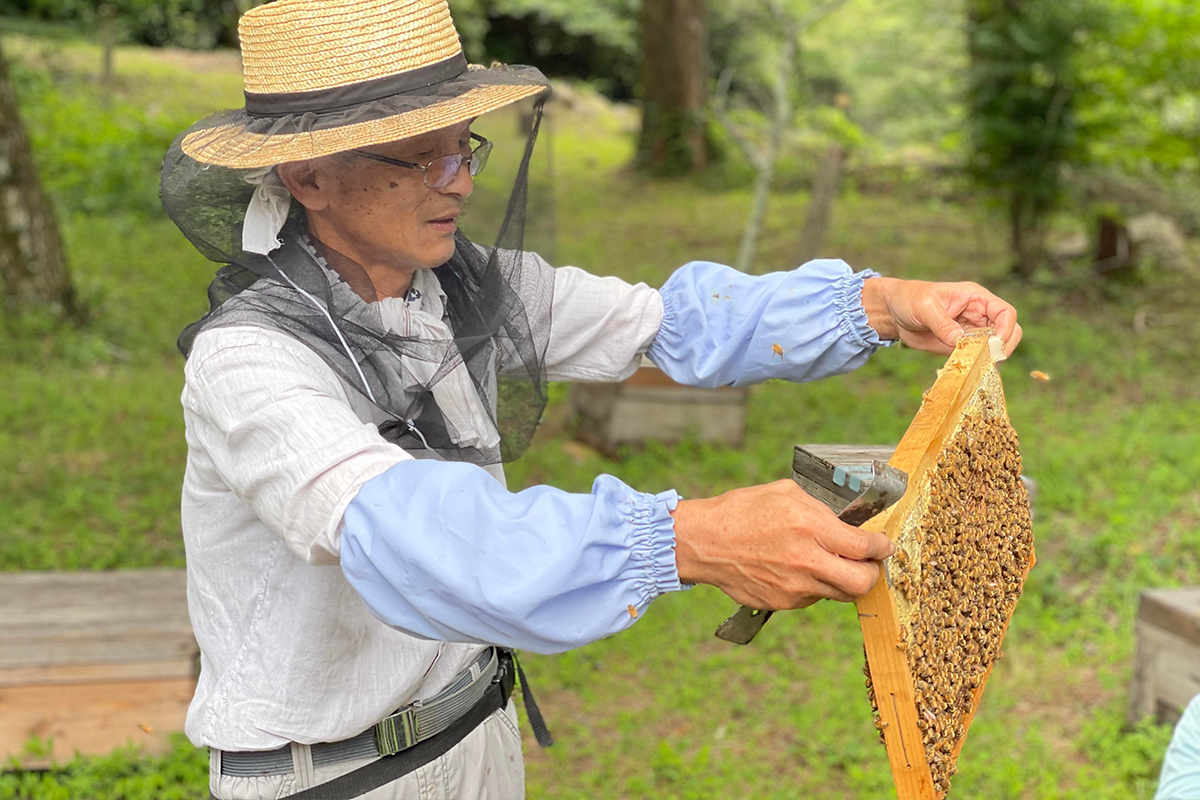 【満員御礼！参加募集を締め切らせていただきました。】山里で遊ぶ2024　Vol.02「八百津町のハチミツ永田養蜂 養蜂体験とハチミツ夏の楽しみ方体験」