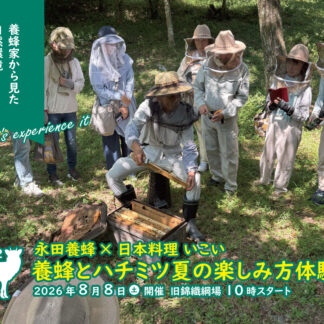 養蜂とハチミツ夏の楽しみ方体験